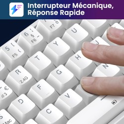 Clavier Gamer Mécanique TECURS : Sans Fil RGB, 65% TKL Azerty